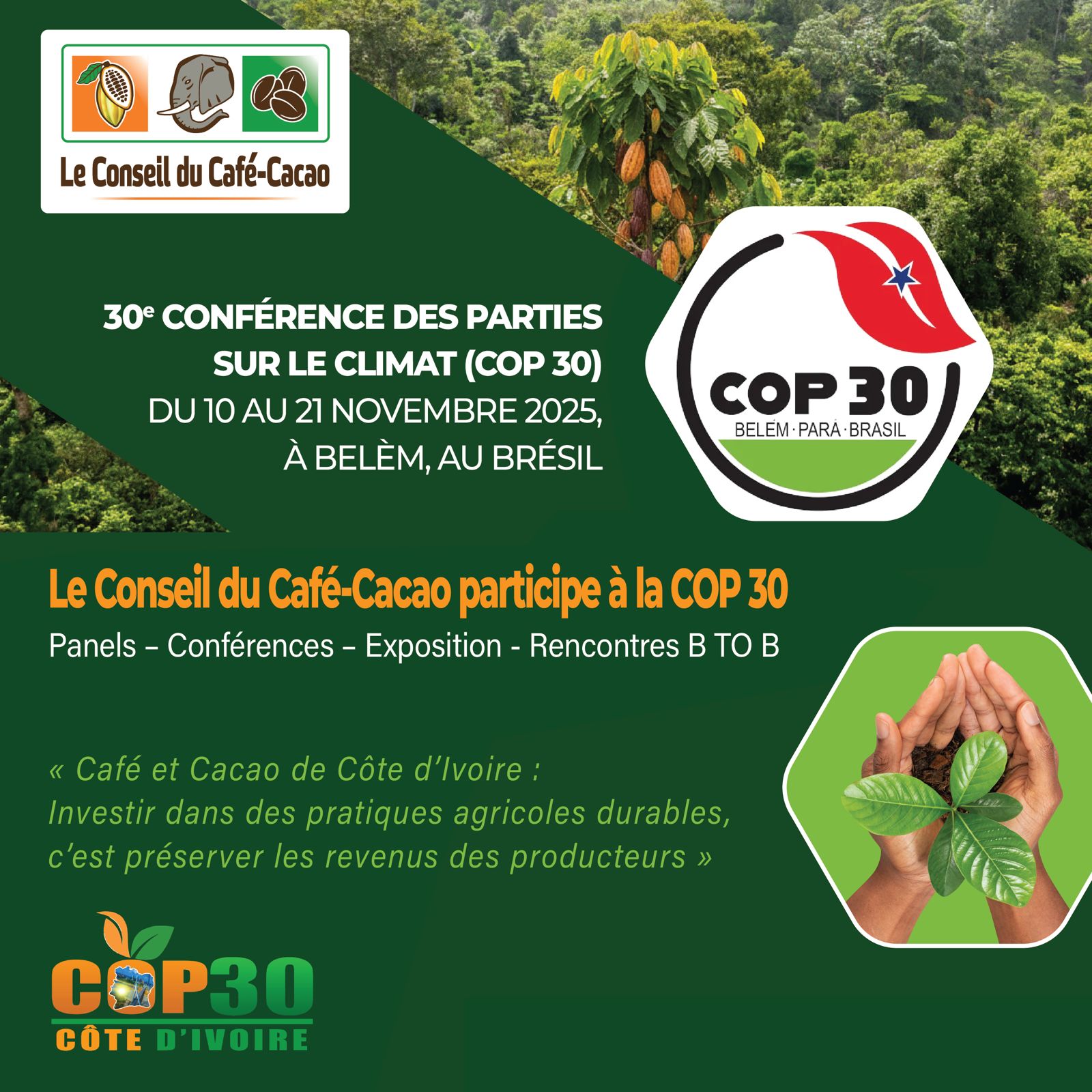 WhatsApp Image 2025-11-10 at 22.45.06 (1)